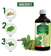 jugo de giloy neem para detoxificación