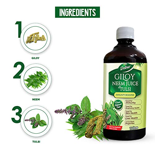 jugo de giloy neem para detoxificación