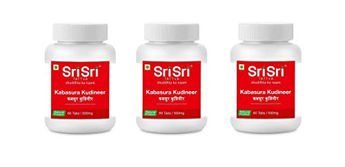 Kabasura Kudineer beneficios para la salud