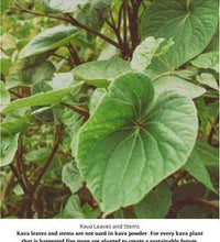 kava kava para relajación profunda