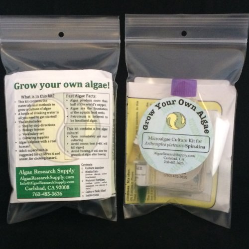 kit de algas spirulina ideal para ferias de ciencias