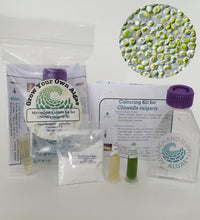 kit de cultivo de algas Chlorella para proyectos escolares