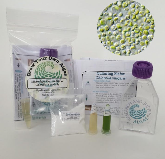 kit de cultivo de algas Chlorella para proyectos escolares