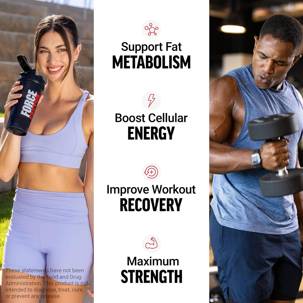 L-Carnitina Force Factor 3000 mg