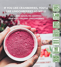 Lingonberry liofilizado sin azúcar