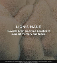 Lion's Mane para salud cerebral