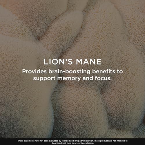 Lion's Mane para salud cerebral