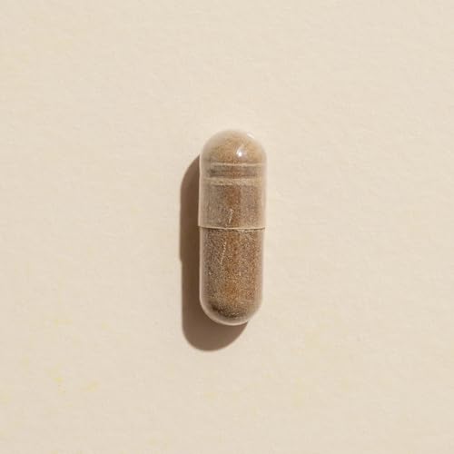 Lion’s Mane y su apoyo a la salud
