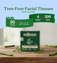 loción hidratante en pañuelos faciales