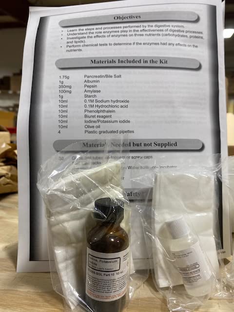 material educativo sobre digestión