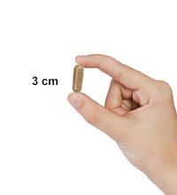 Maxi Memory para estudiantes y profesionales