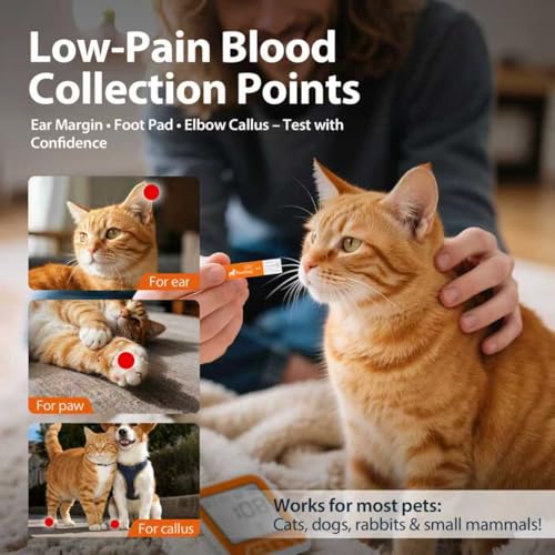 medidor de glucosa sin dolor para perros