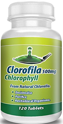 Mejora la digestión con clorofila