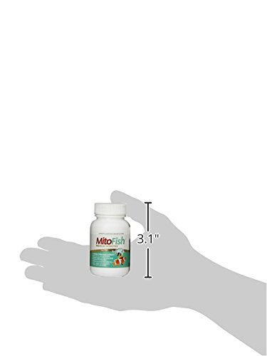 Mejora la flora intestinal de peces