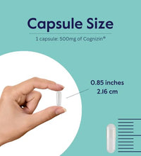 Mejora la memoria con Cognizin Citicolina