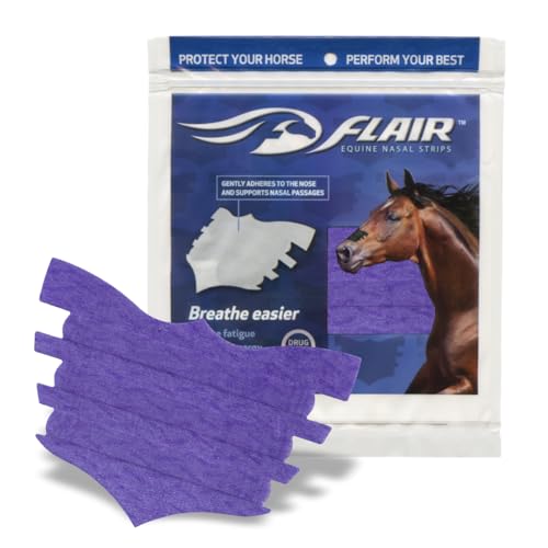 Mejora la respiración en caballos
