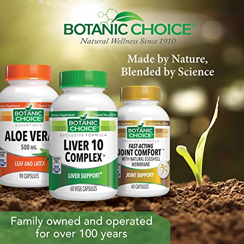 mejora la salud digestiva naturalmente