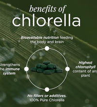 mejora tu inmunidad con chlorella