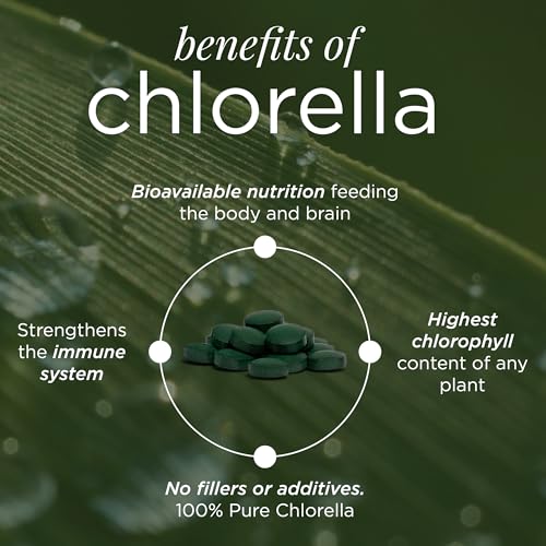 mejora tu inmunidad con chlorella