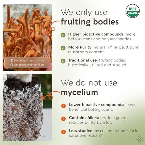 mejora tu rendimiento físico con cordyceps