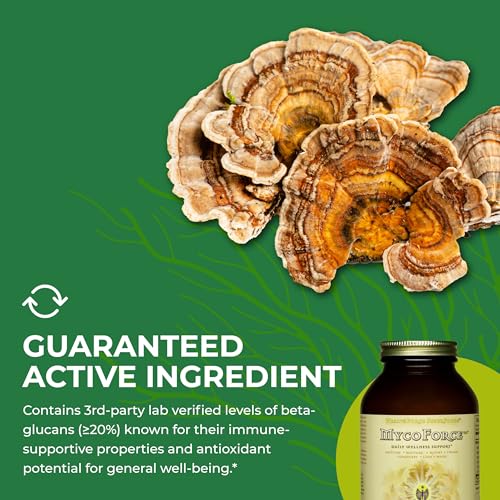 mezcla de hongos chaga y reishi