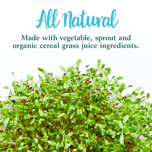 mezcla de superfoods para bienestar integral