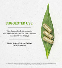 Mezcla herbal Secrets of the Tribe