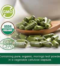 moringa orgánica para bienestar diario