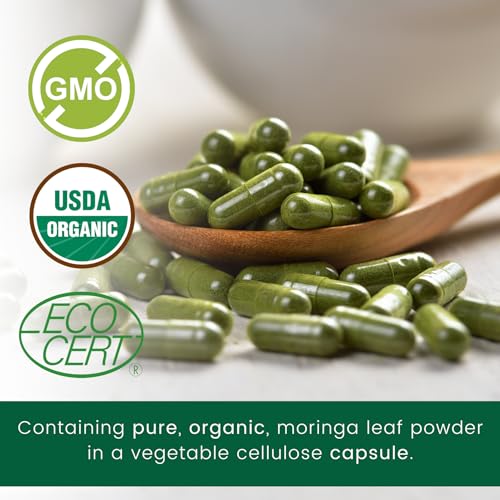 moringa orgánica para bienestar diario