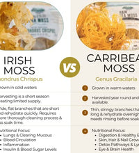 musgo irlandés crudo rico en nutrientes