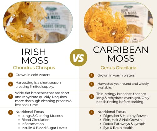 musgo irlandés crudo rico en nutrientes