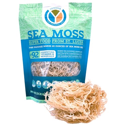 musgo marino orgánico para la salud