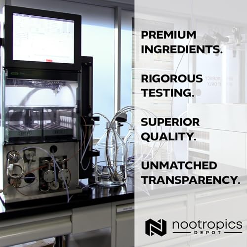 Nootropics Depot para un enfoque óptimo