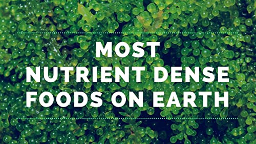nutrición completa con espirulina orgánica