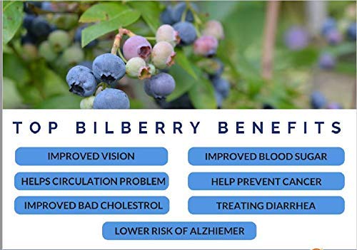 nutrientes esenciales para tu salud