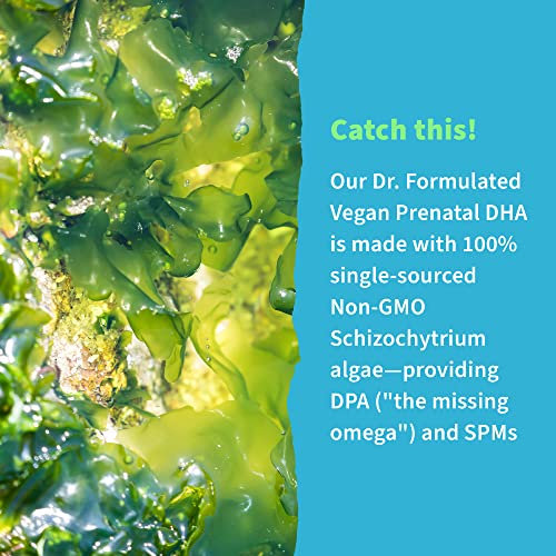 omega 3 esencial para la salud