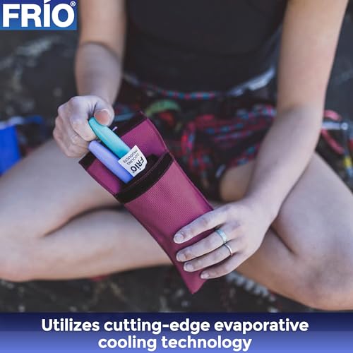 organizador de insulina sin hielo