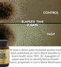 Oro monoatómico para bienestar cerebral