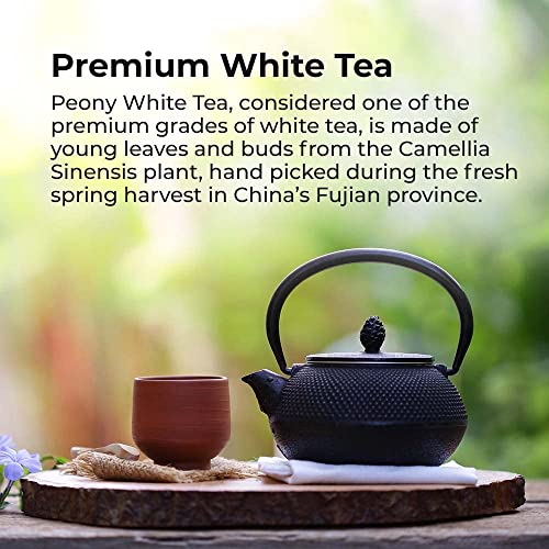 paquete de 2 bolsitas de té
