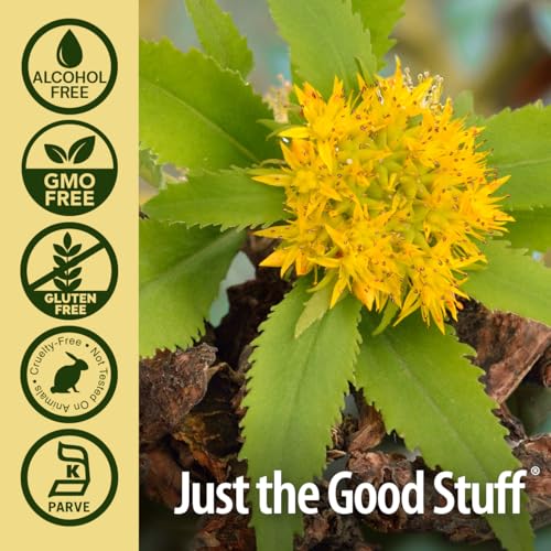 paquete de 2 raíz de rhodiola
