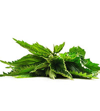 paquete mega de té herbal