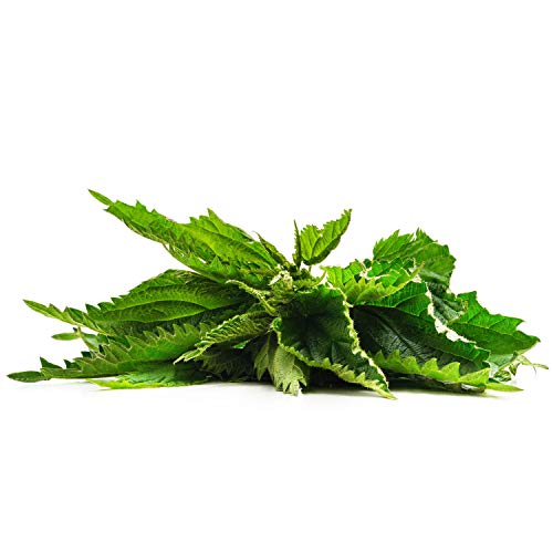 paquete mega de té herbal