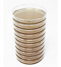 placas de agar para cultivo de hongos