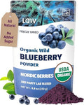 Polvo de arándano orgánico para smoothies