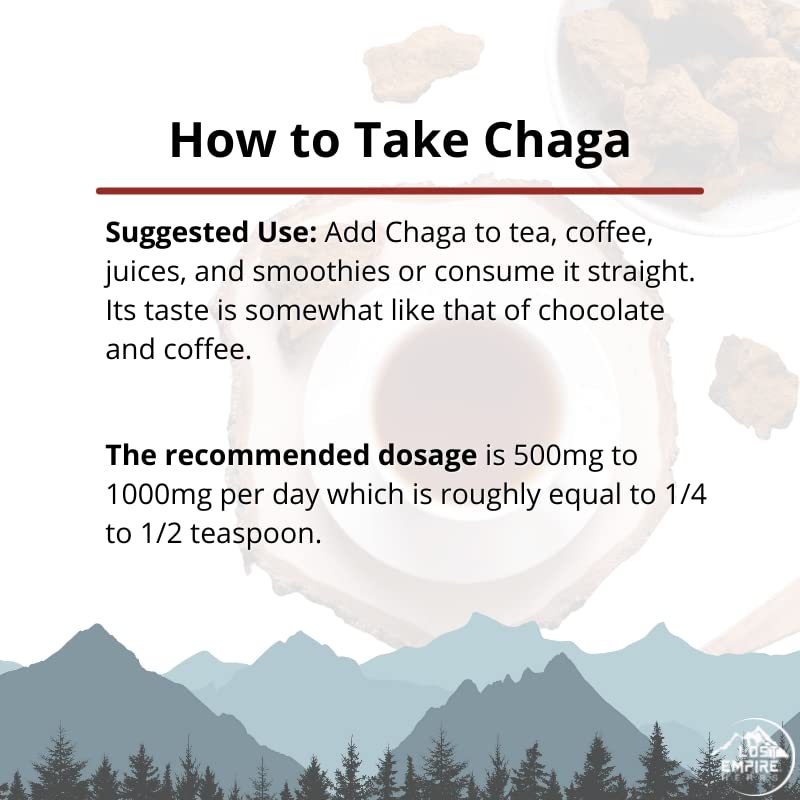 Polvo de chaga para bienestar general
