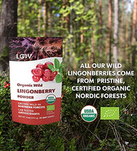 Polvo de fruta orgánica sin OGM