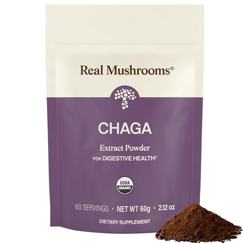 Polvo de hongo chaga orgánico