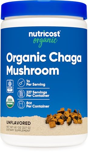 Polvo de hongo chaga orgánico