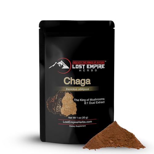Polvo de hongo chaga orgánico