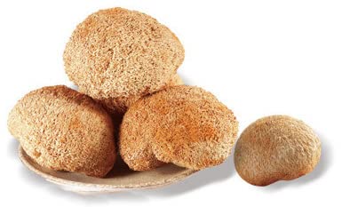 Polvo de hongo para mejorar la salud